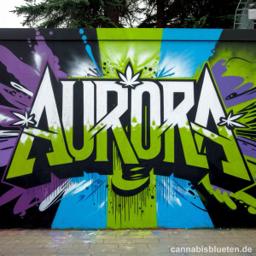 aurora
