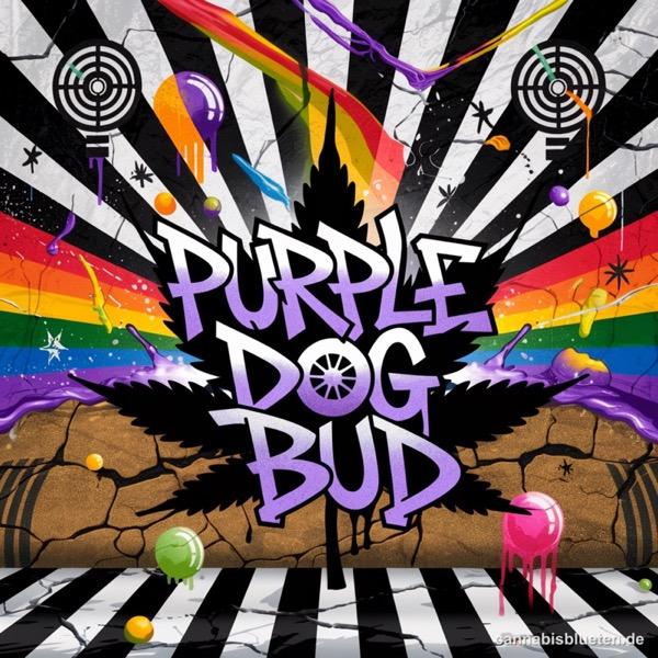 Purple Dog Bud