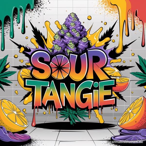 Sour Tangie