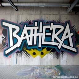 Bathera