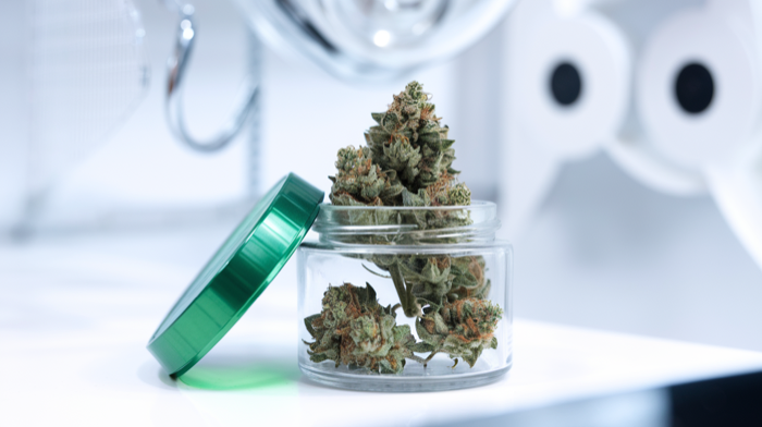 Cannabis bei seltenen Krankheiten 2026: Neue Therapien