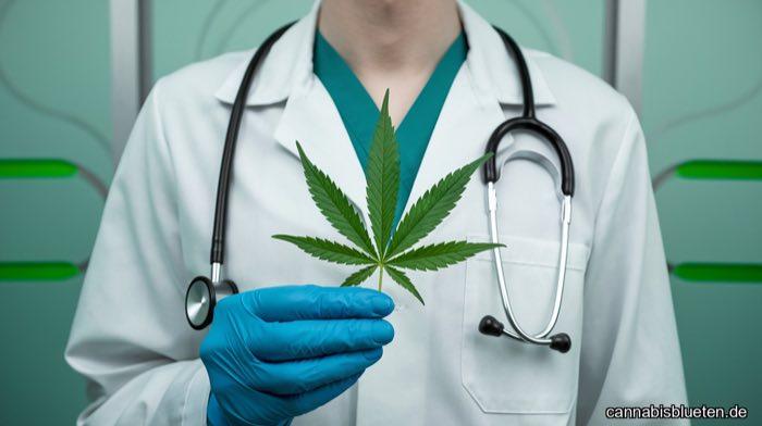 Einstieg in medizinisches Cannabis