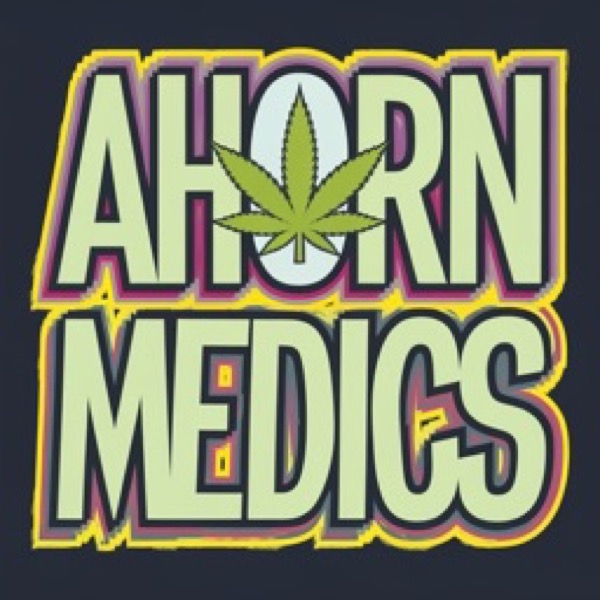 Ahorn Medics Logo